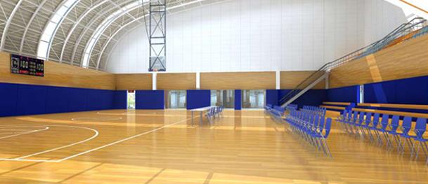 天速地板|籃球運動地膠|經典木紋系列T-90145