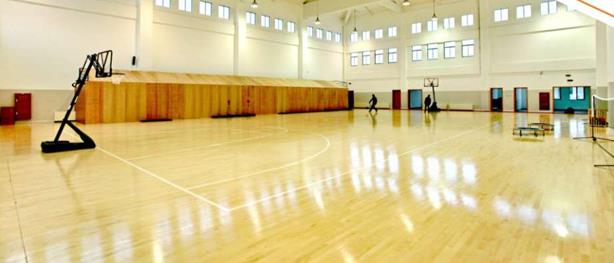 天速地板|籃球運動地膠|經典木紋系列T-90160