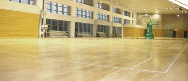 天速地板|籃球運動地膠|經典木紋系列T-90180