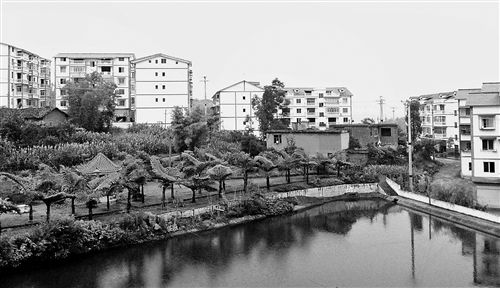 (zhn)m@r(nng)¾ӛ