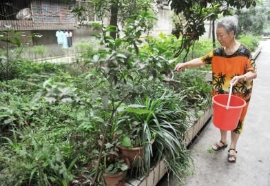 627ͬƘM8̖ԺSڽoԺֲˮ